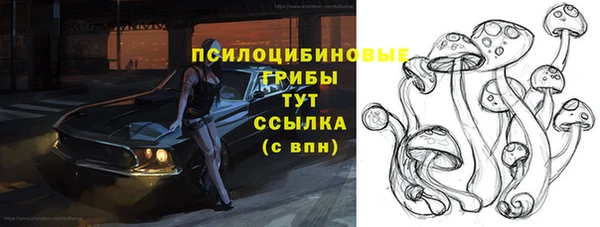 mix Белокуриха