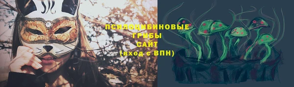 mix Белокуриха